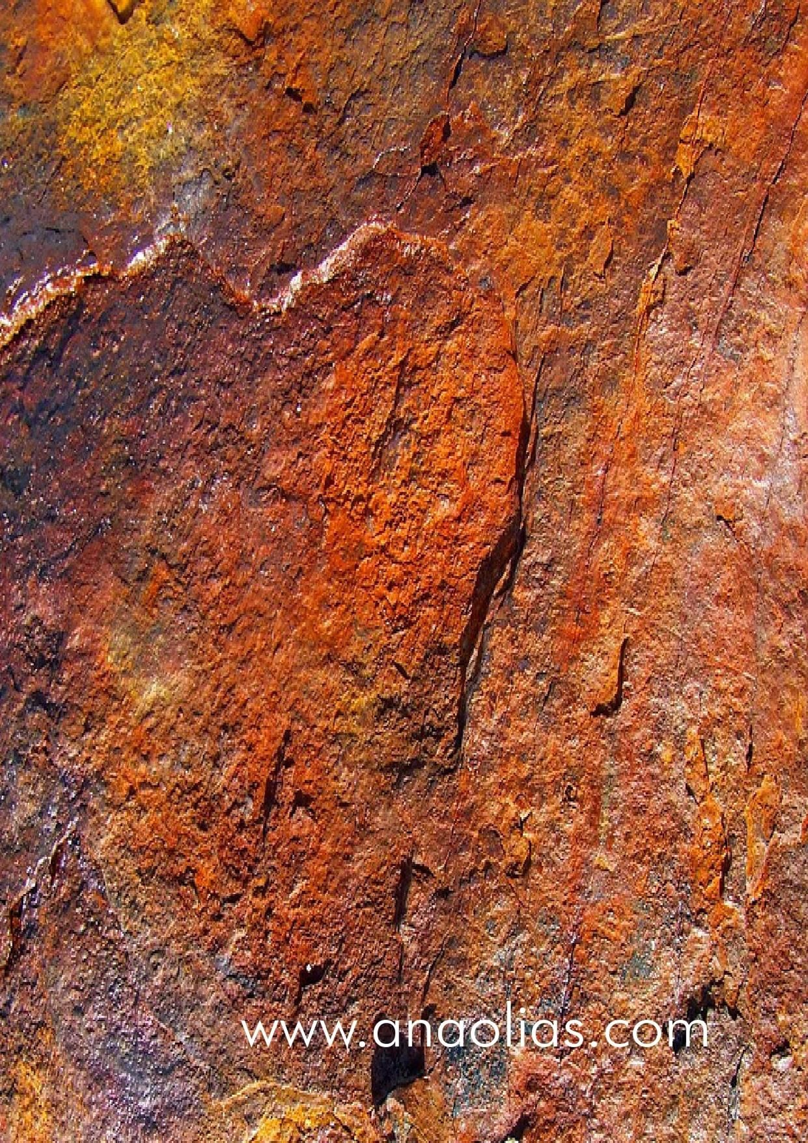 Fotos de los principales cuadros de Ana Olias