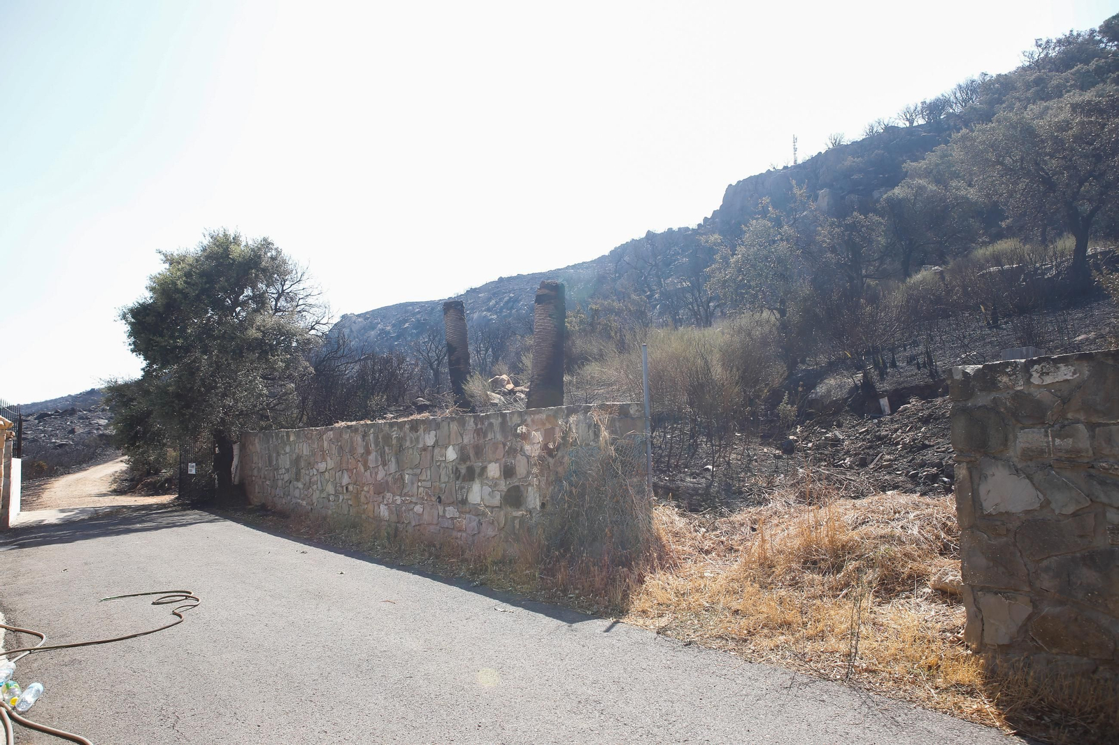 Las fotos de los efectos del incendio forestal en la Sierra de la Plata y Atlanterra, en Tarifa