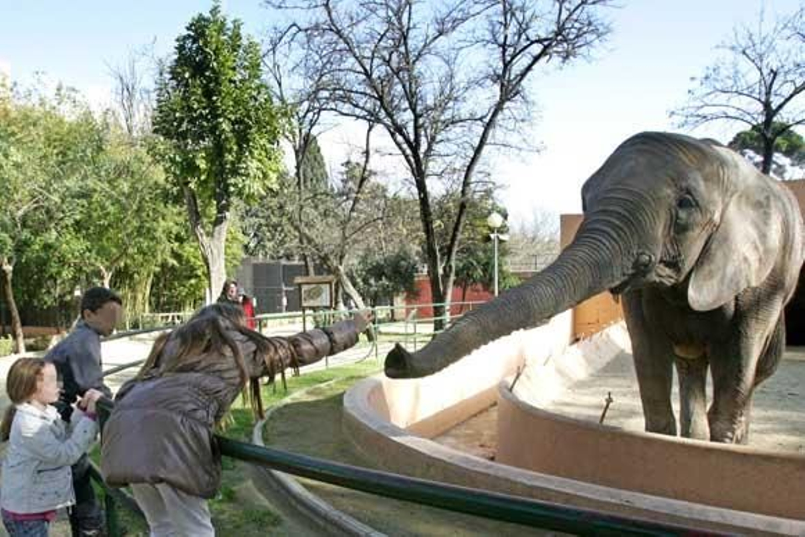 Igualdad Animal incluye a los Zoos de Castellar y Jerez entre los que peor trato dan a sus animales