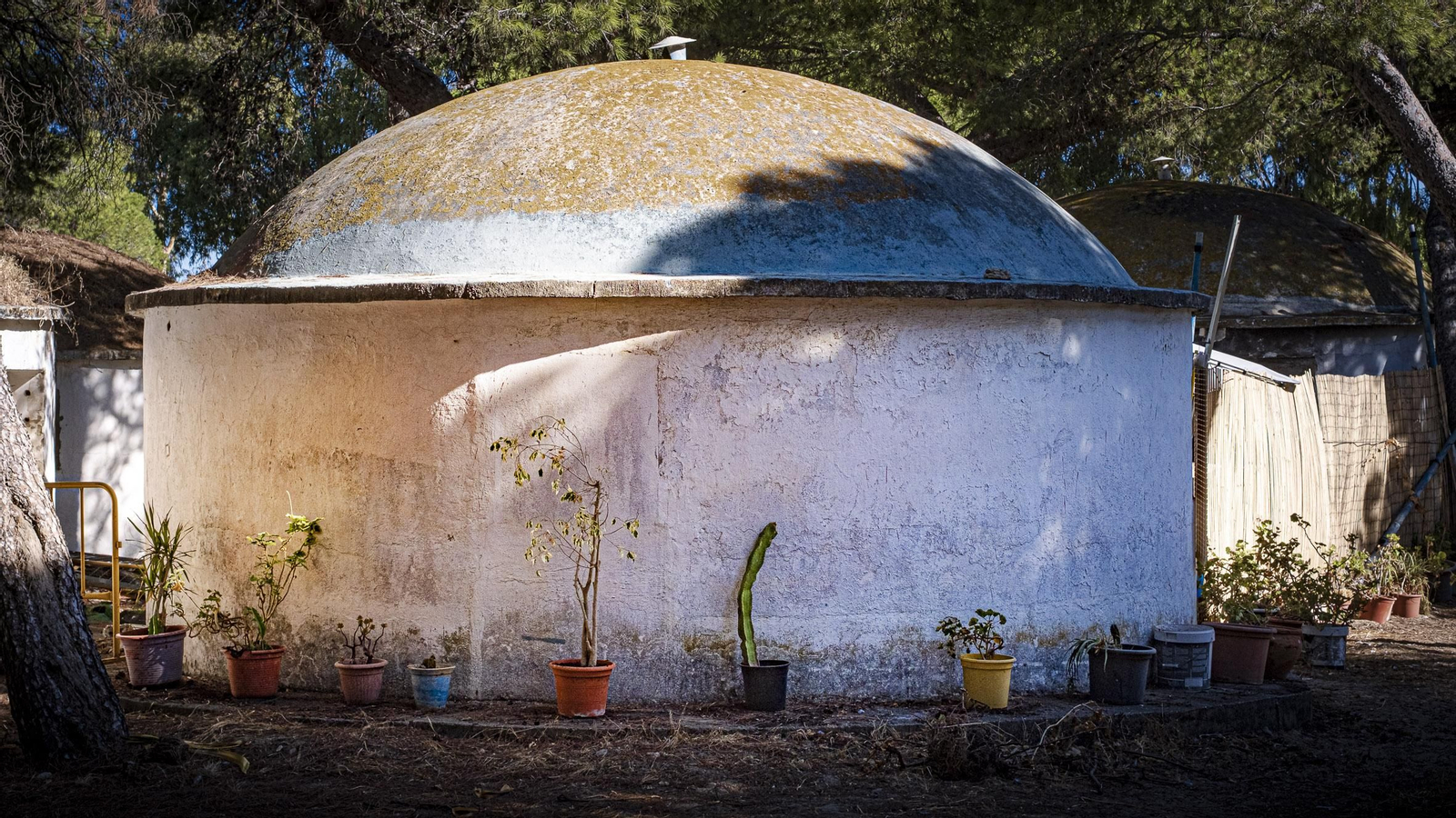 Las imágenes actuales del estado de abandono del antiguo campamento La Forestal en Rota