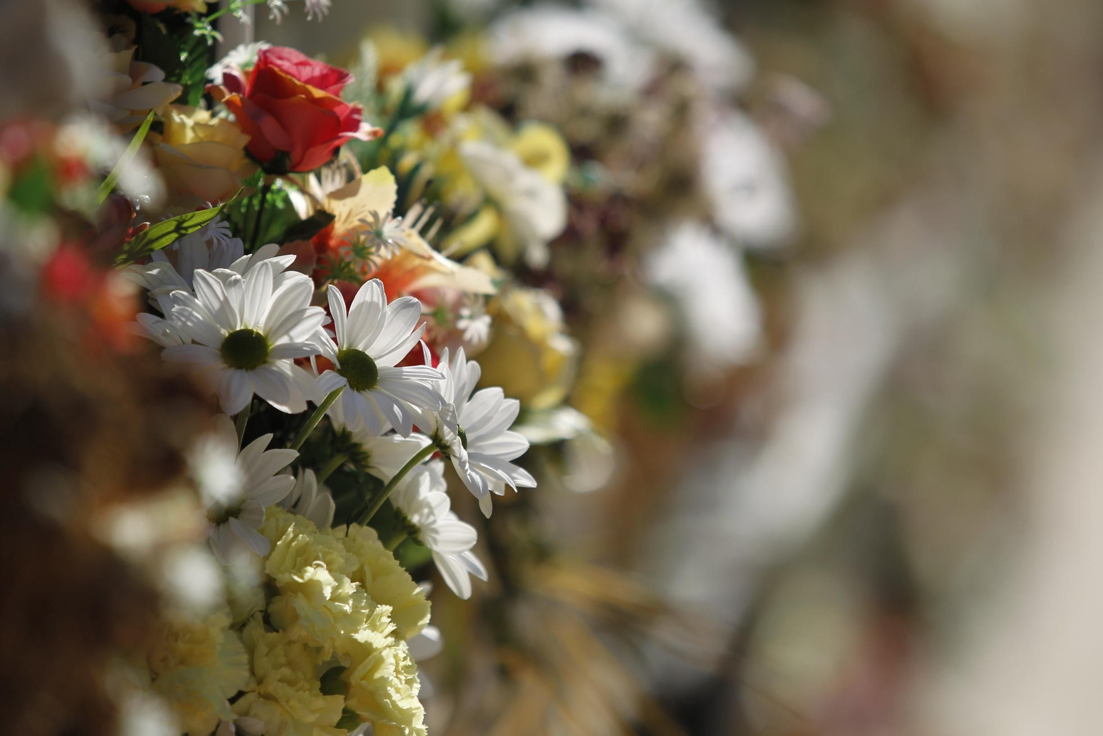 Fotogalería Día de Todos los Santos. Cementerio de San José. Almería