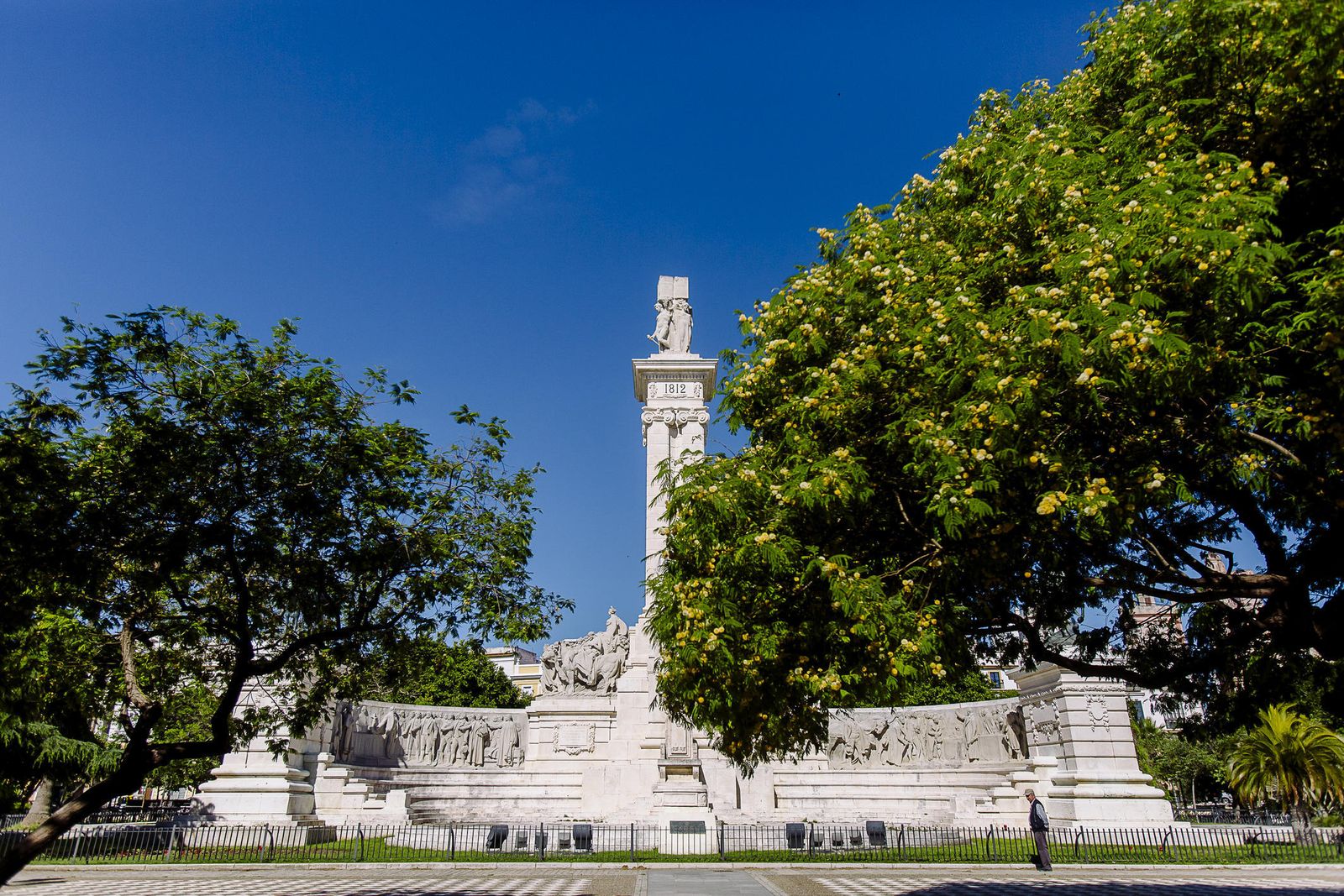 Dos del número indeterminado de árboles que se retirarán del frontal del Monumento a Las Cortes de Cádiz.