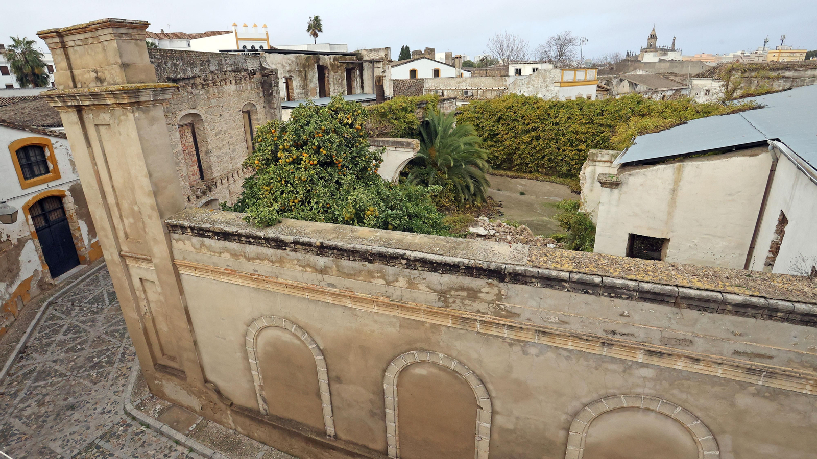 Se derrumba uno de los muros del interior del Palacio Riquelme en Jerez