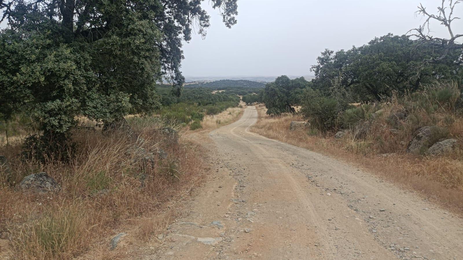Observaremos cómo poco a poco se allana el paisaje.