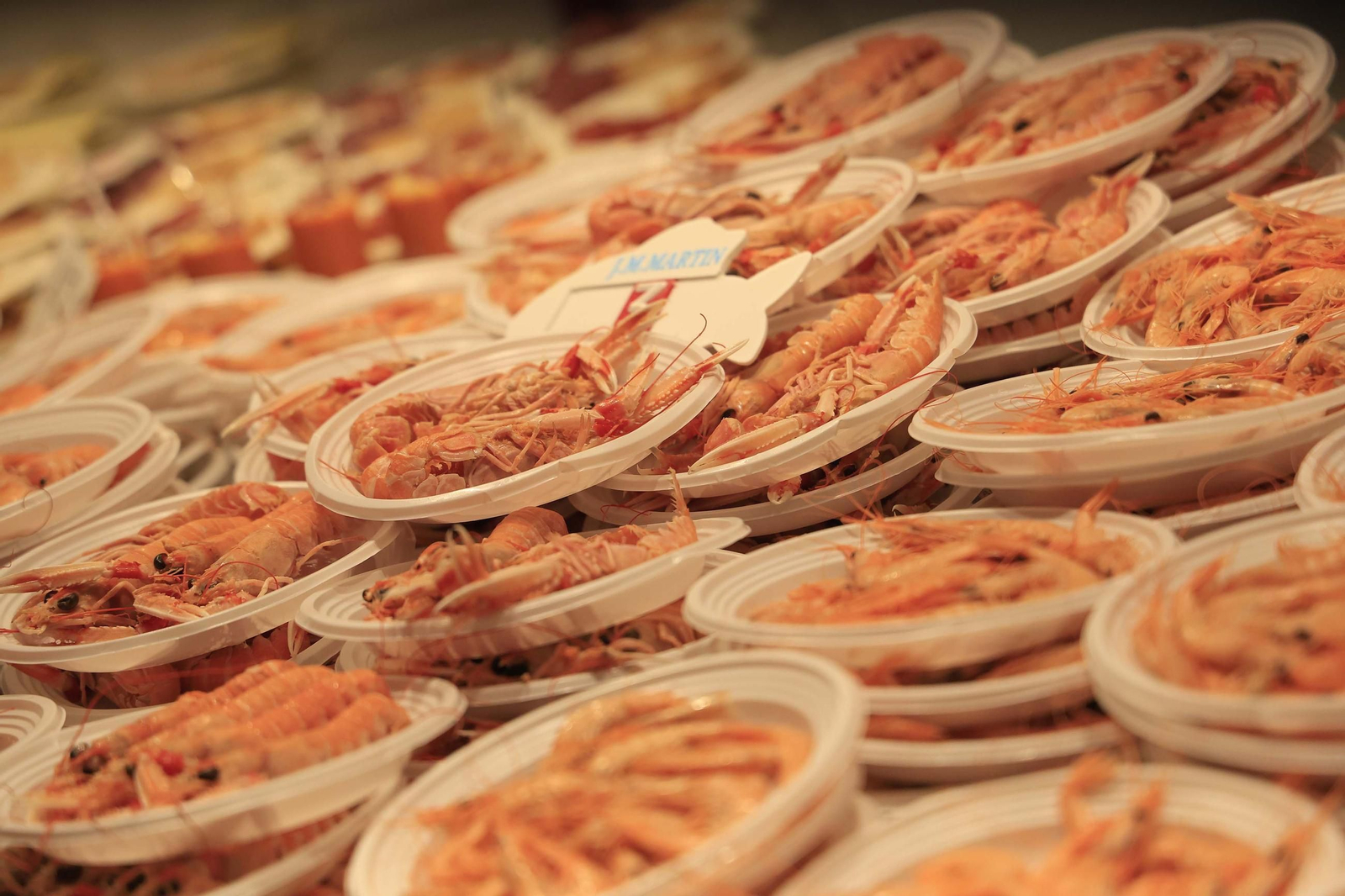 Fotos de Tosantos 2025 en Algeciras