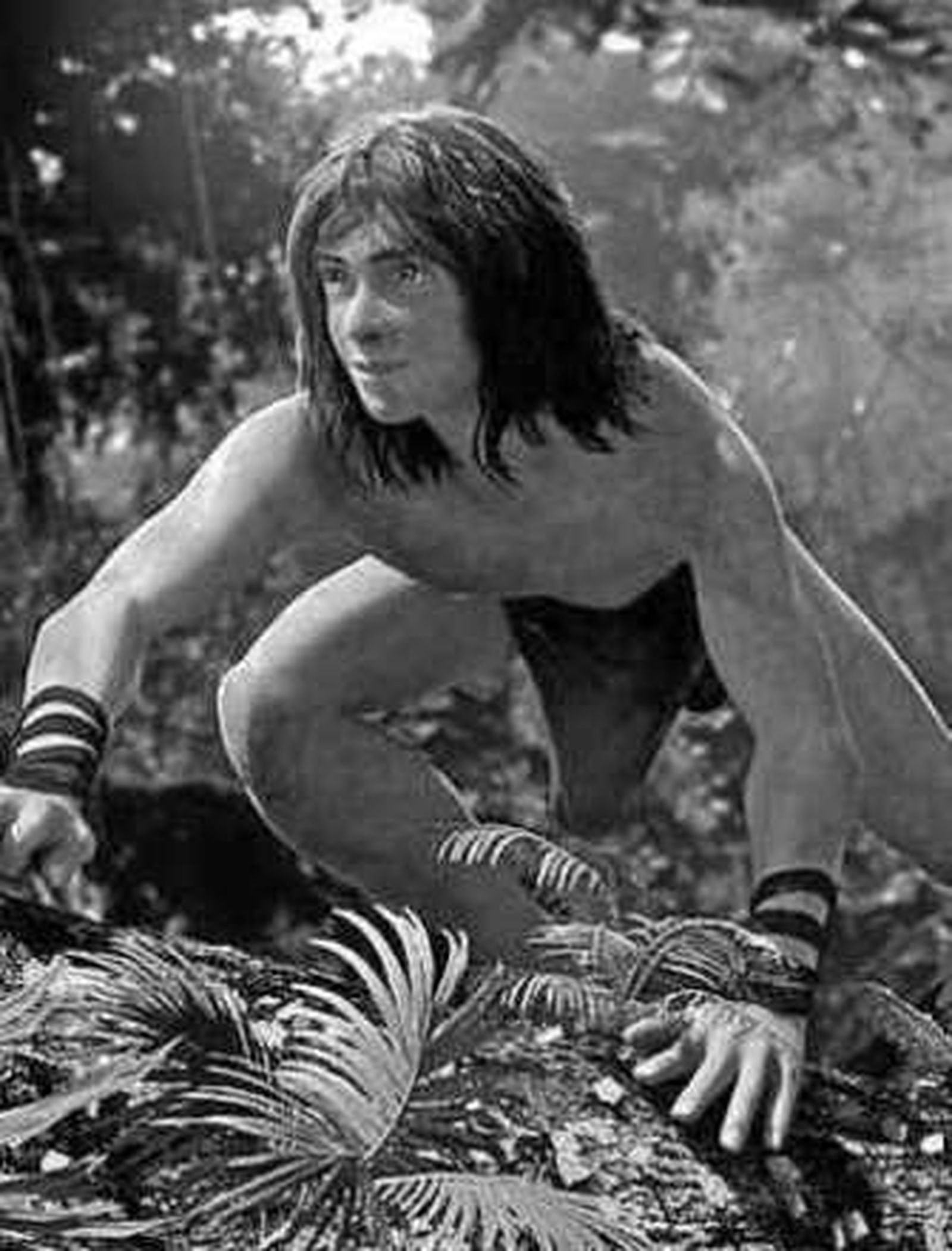 Imagen de esta versión.