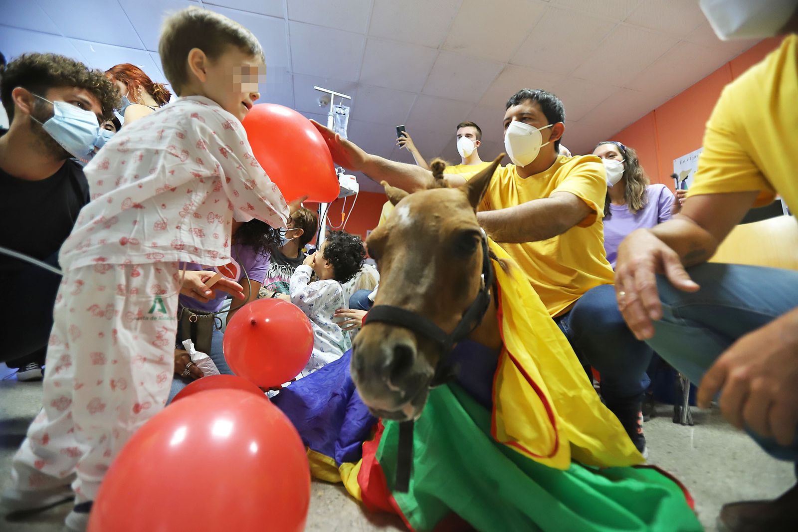 Los niños hospitalizados en el Juan Ramón Jiménez reciben la inesperada visita de unos caballos