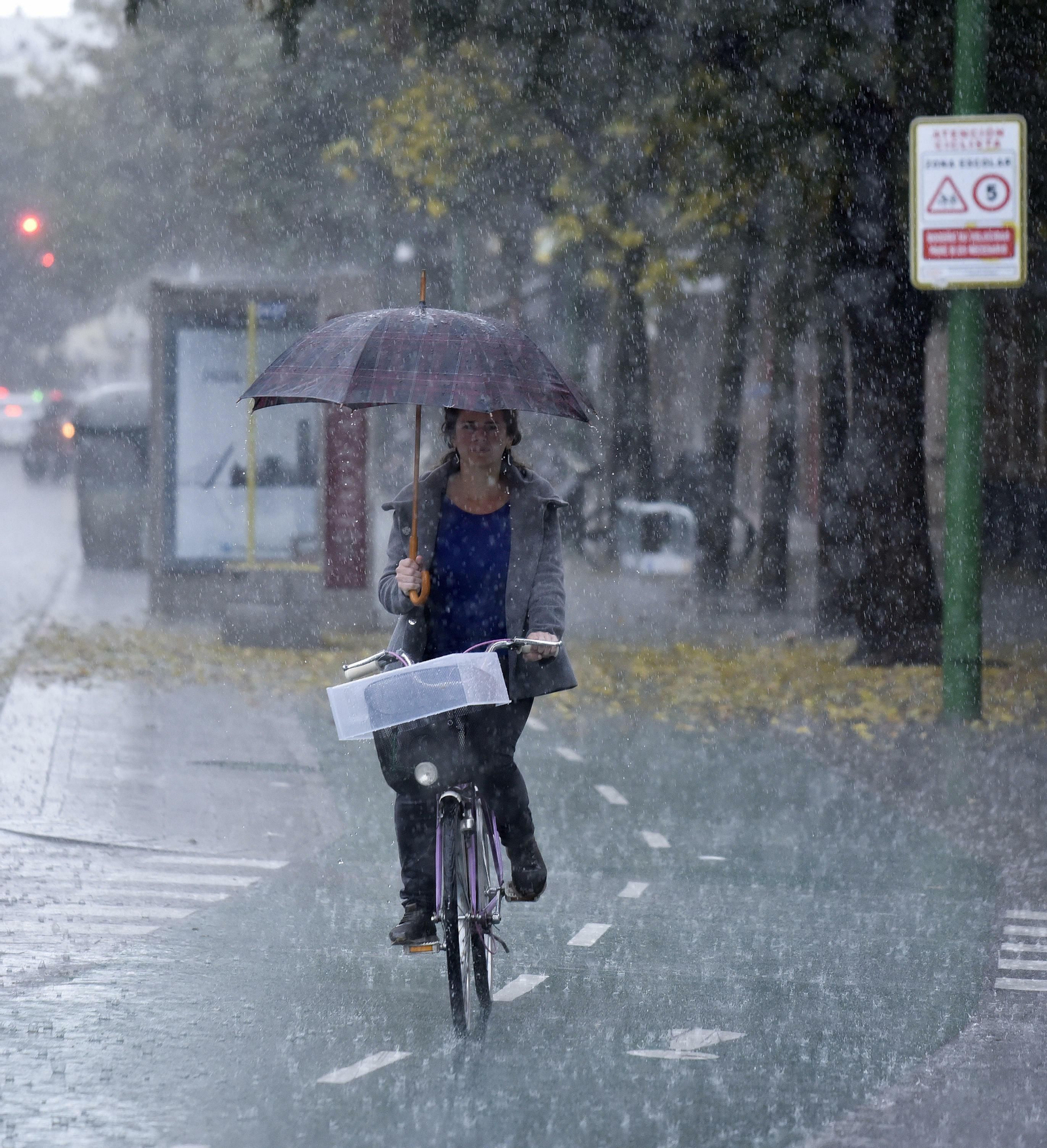 Una ciclista por la ronda histórica en noviembre, cuando cayeron abundantes precipitaciones en Sevilla.