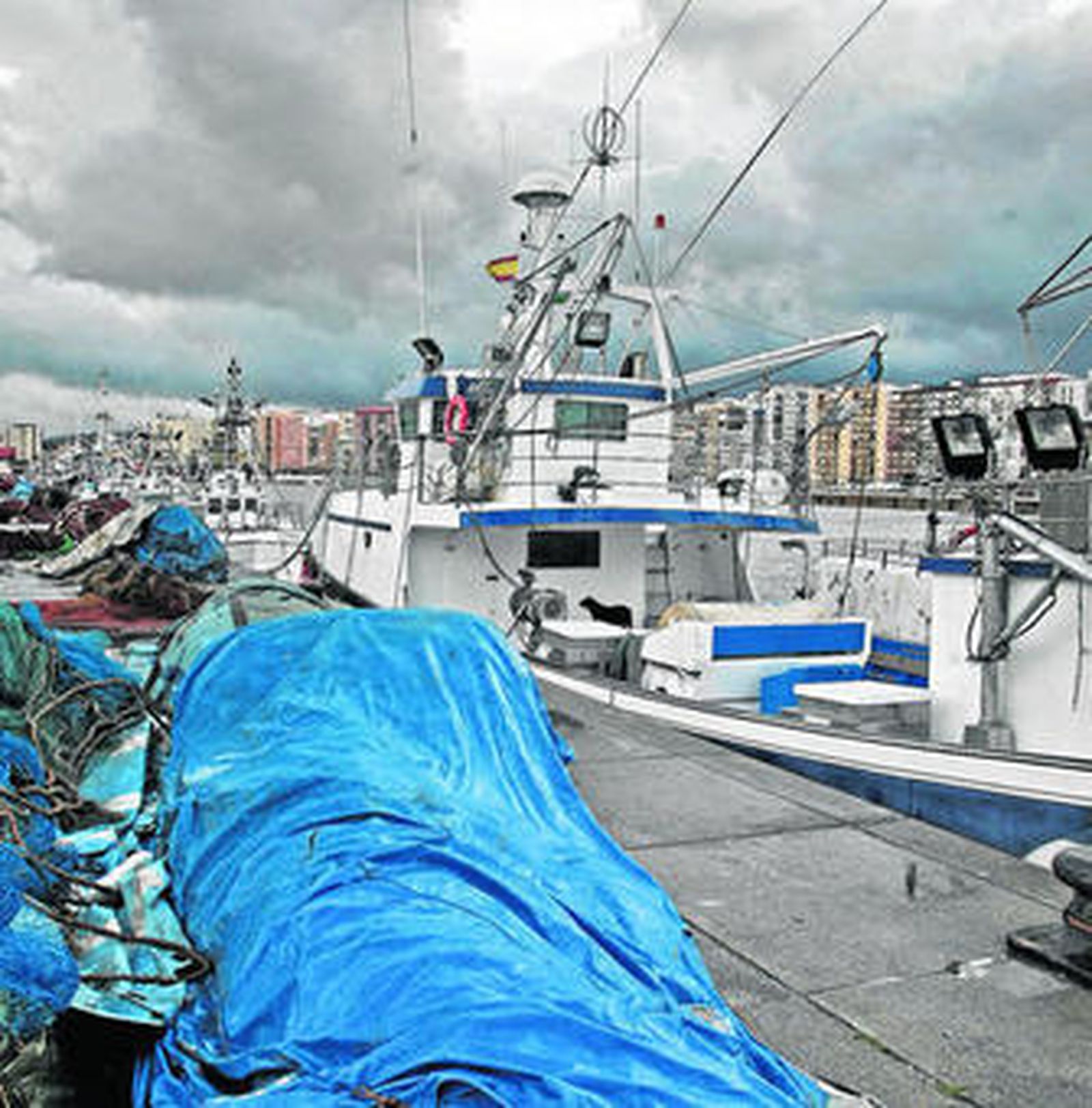 El muelle pesquero de Algeciras, en una imagen de archivo.