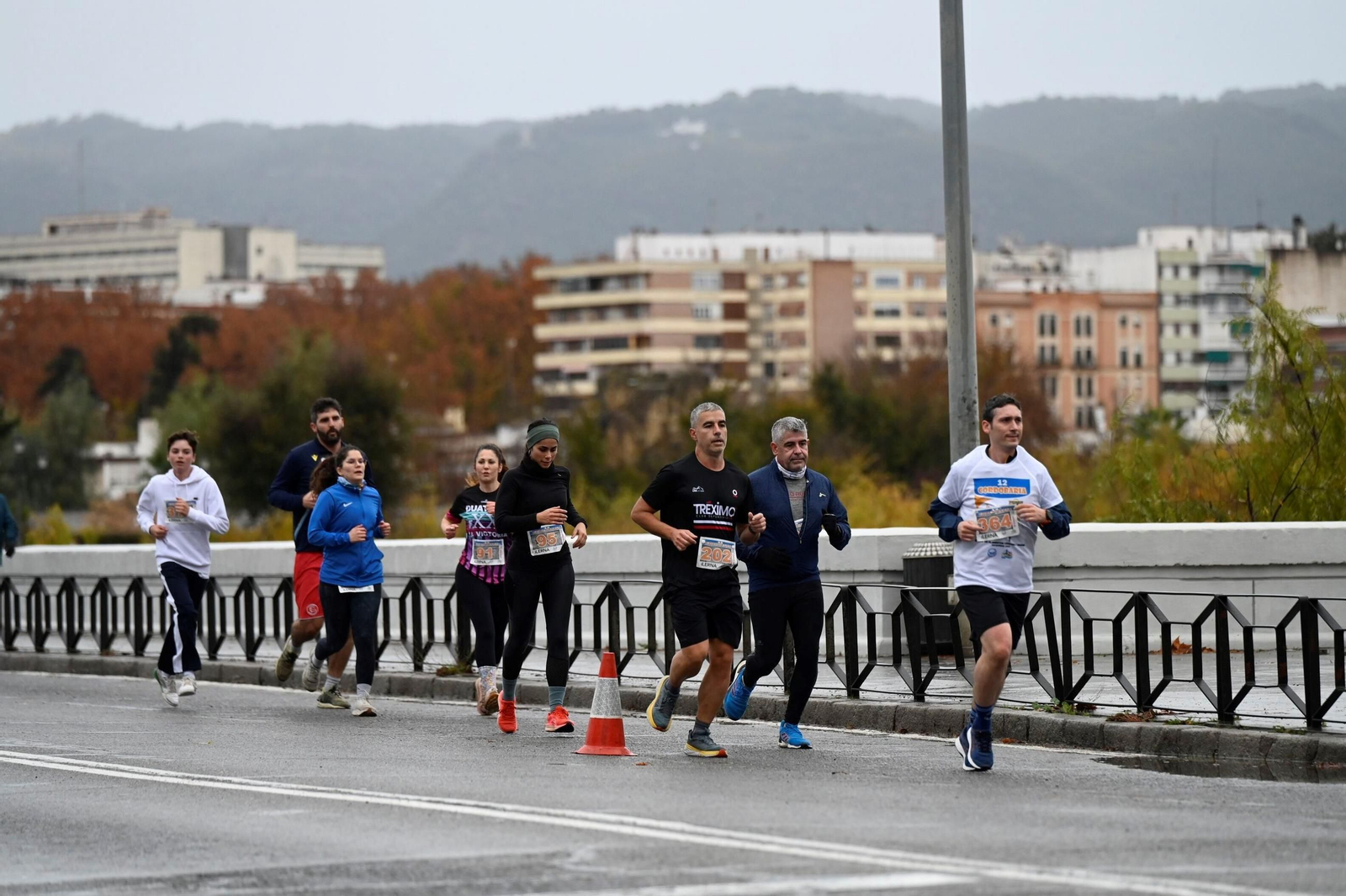 Las mejores fotos de la XII Cordobaria
