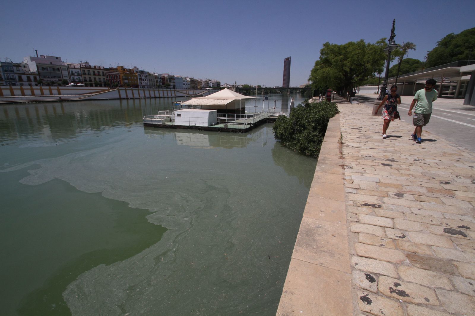 Mancha de aceite en el Guadalquivir