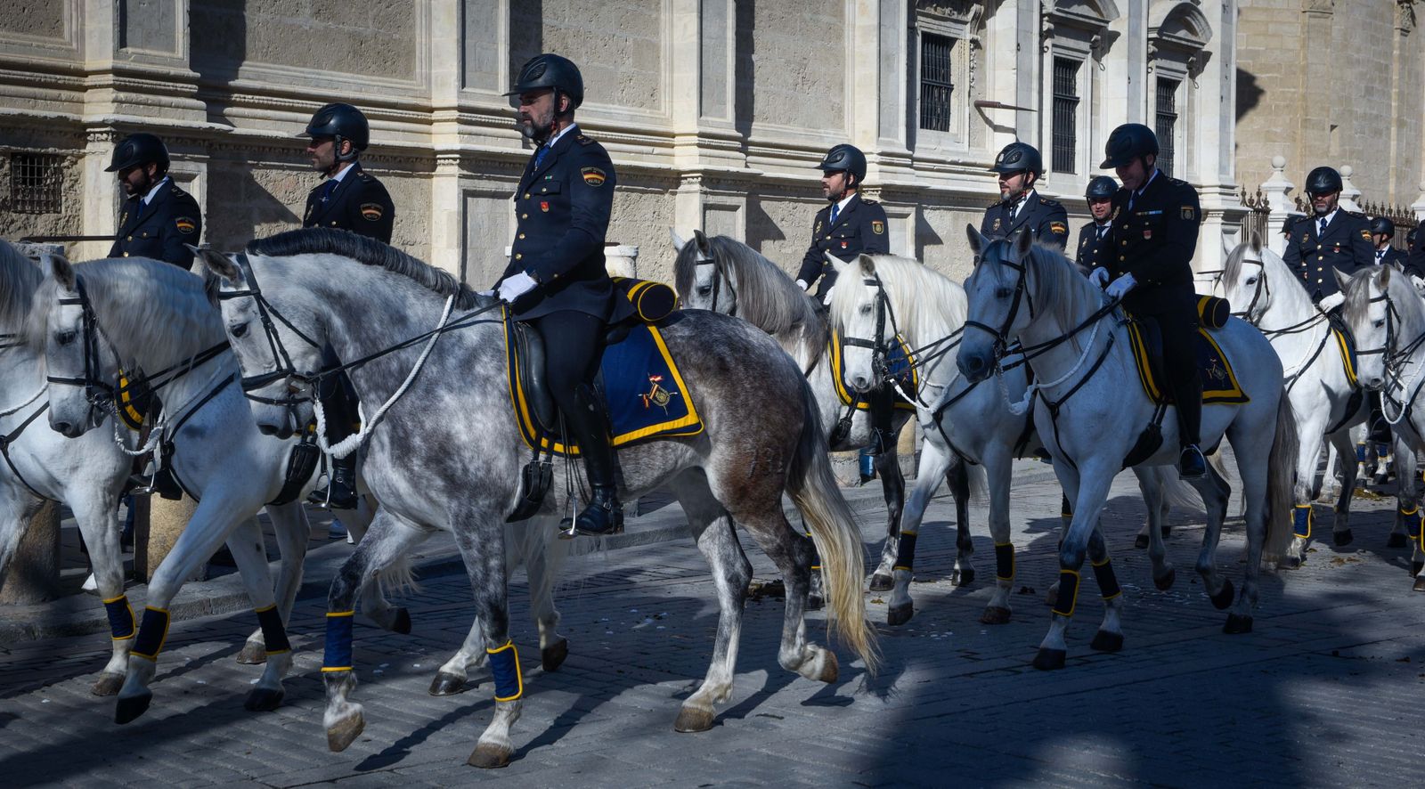 Caballería y guías caninos de la Policía Nacional celebran el patrón de los animales