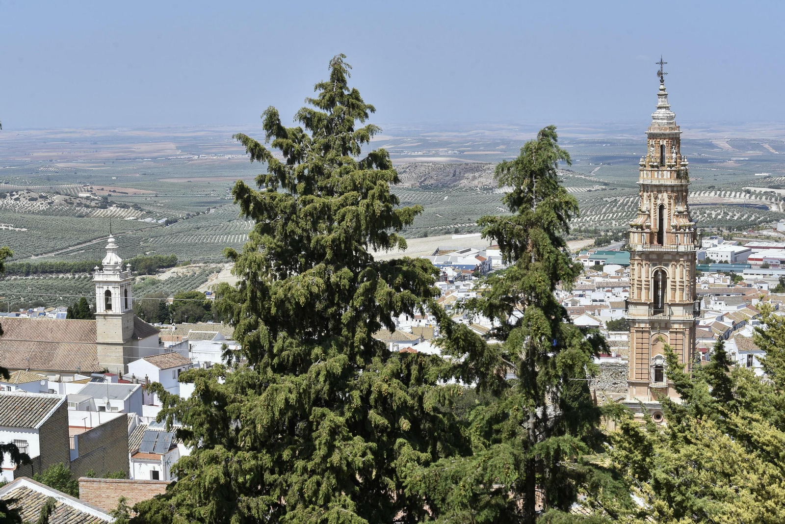 Estepa, en imágenes