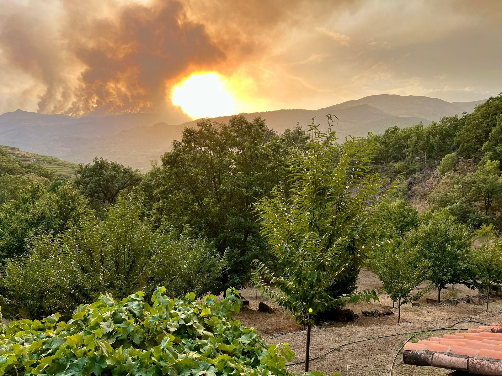 Incendio avanzando hacia el Valle del Jerte (Cáceres)