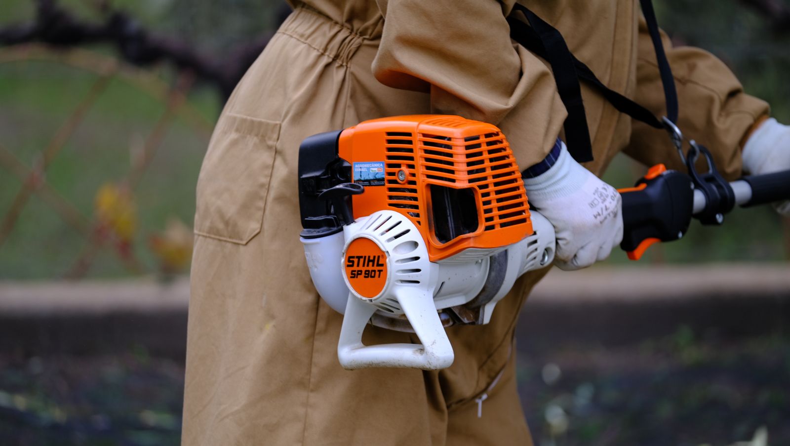 Fotogalería recolección aceituna en Abla. Almería