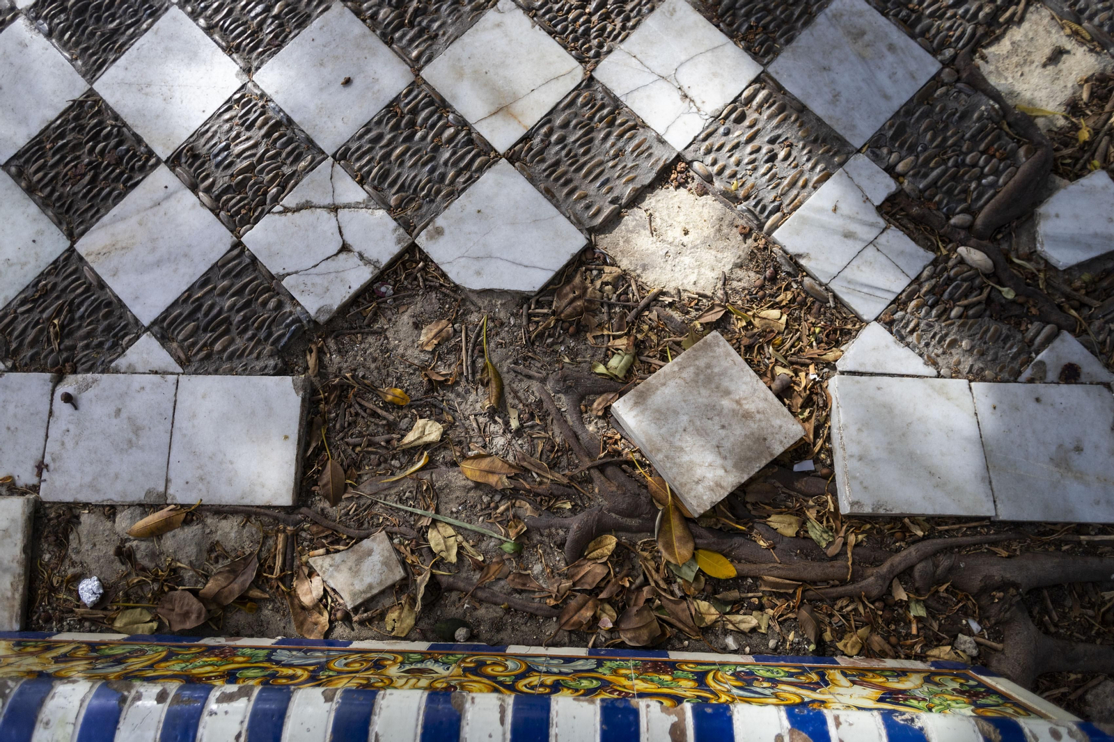 Las imágenes del mal estado de los paseos de Cádiz