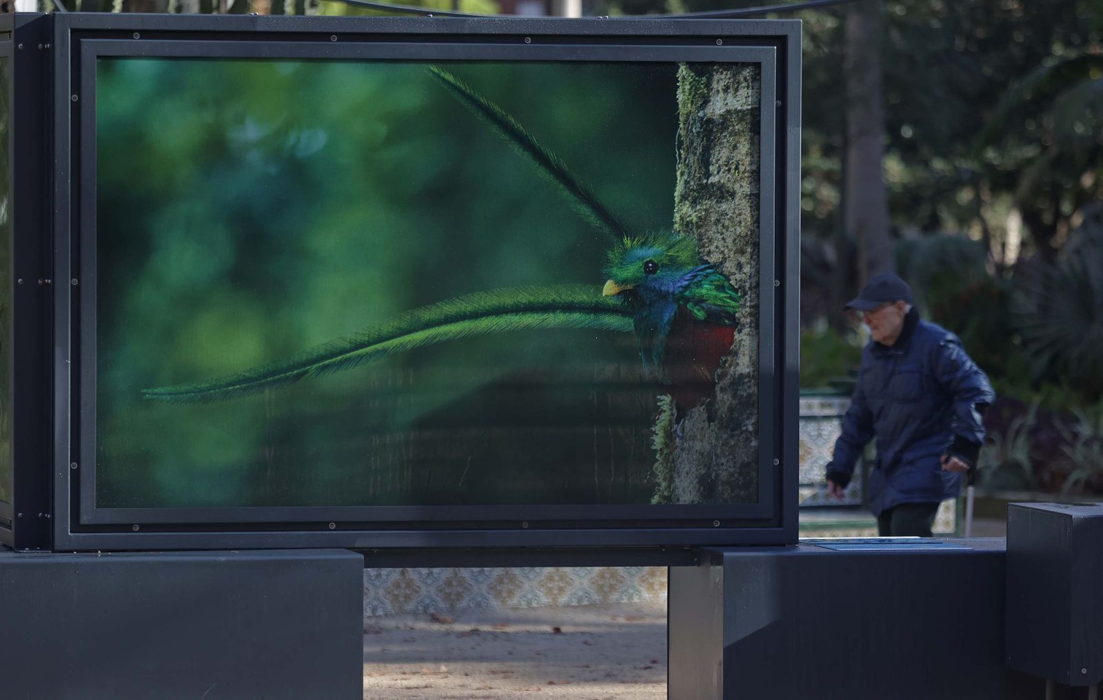 La exposición 'Colores del Mundo' del parque María Cristina de Algeciras, en imágenes