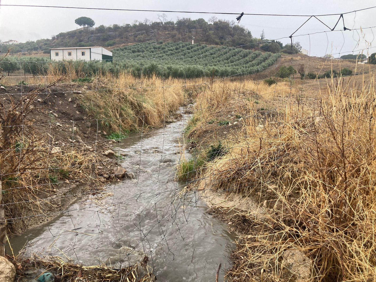 El agua corre por un arroyo de Ronda tras las últimas lluvias El agua corre por un arroyo de Ronda tras las últimas lluvias