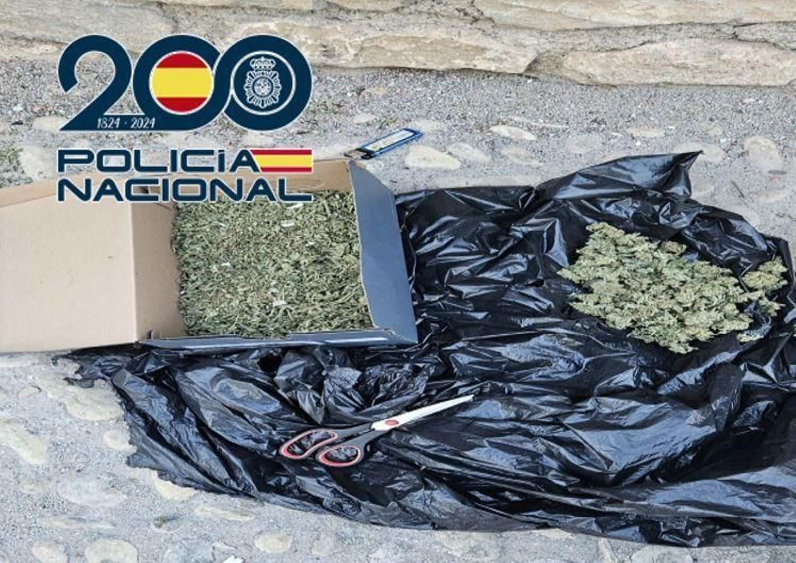 La Policía Nacional ha realizado cerca de 30 operaciones antidroga en Granada y Motril con más 4.000 plantas incautadas La Policía Nacional ha realizado cerca de 30 operaciones antidroga en Granada y Motril con más 4.000 plantas incautadas