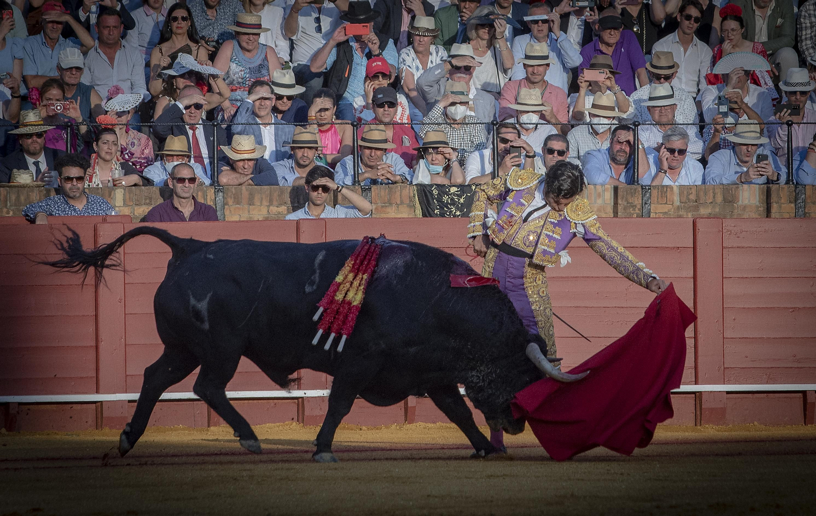 Las mejores imágenes del duodécimo festejo de toros