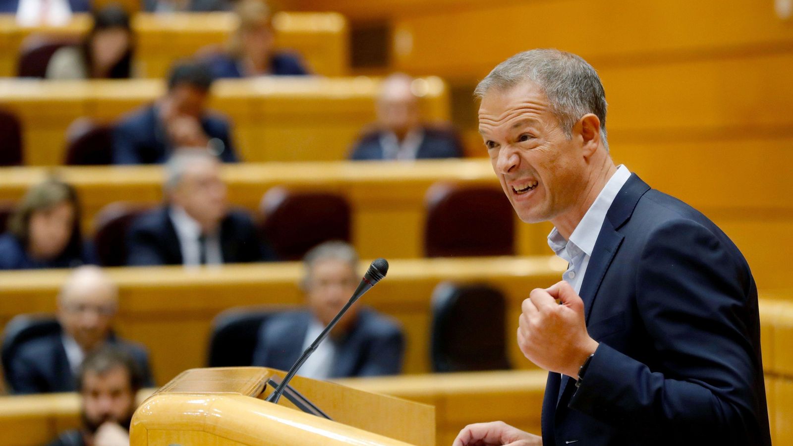 Ander Gil, en una comparecencia en el Senado.