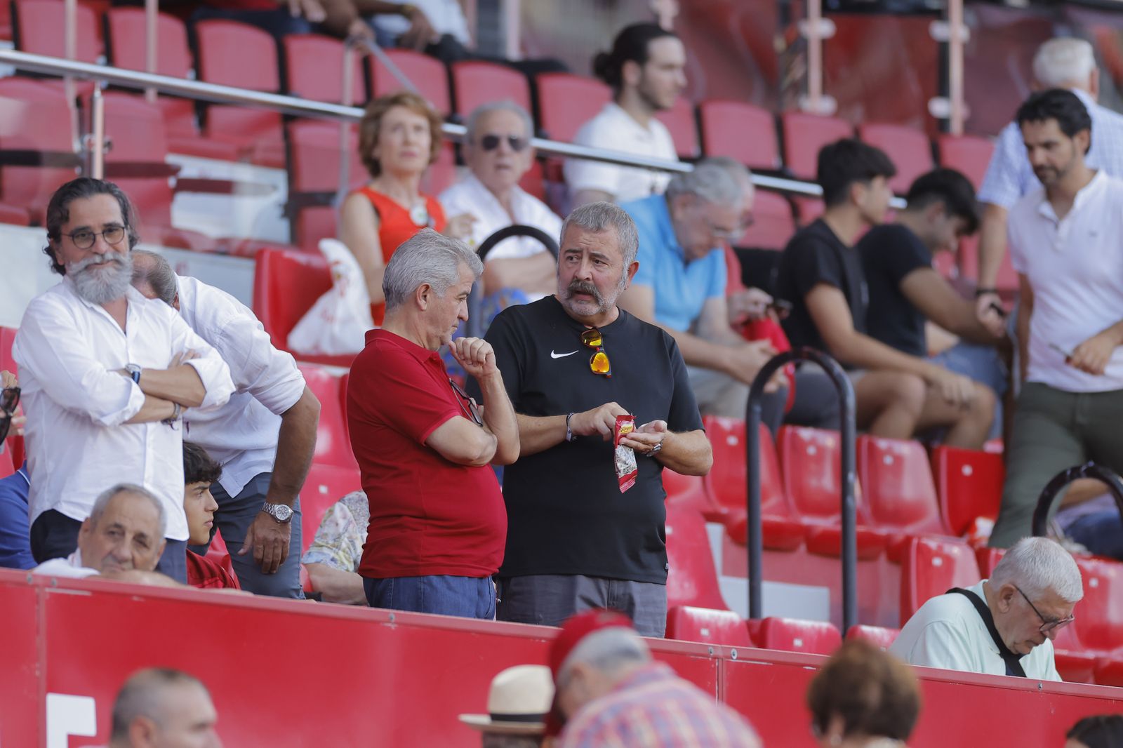 Búscate en las fotos del Sevilla-Almería