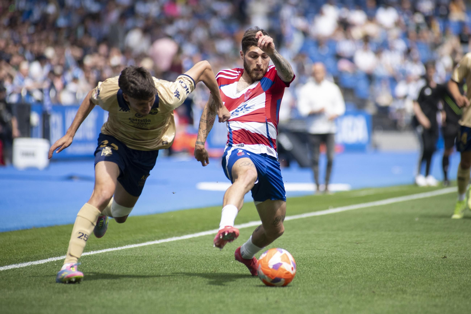 Las mejores imágenes de la victoria del Granada CF ante el Dépor