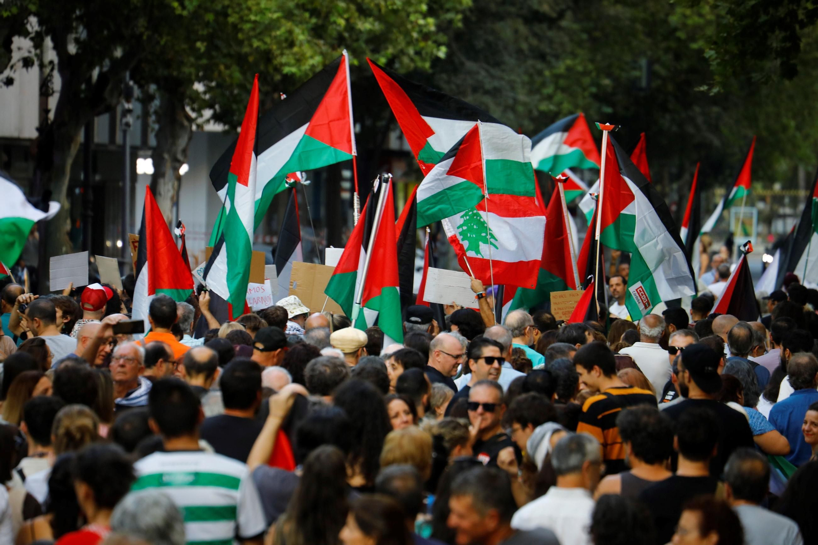 Las imágenes de la manifestación de Córdoba por Gaza