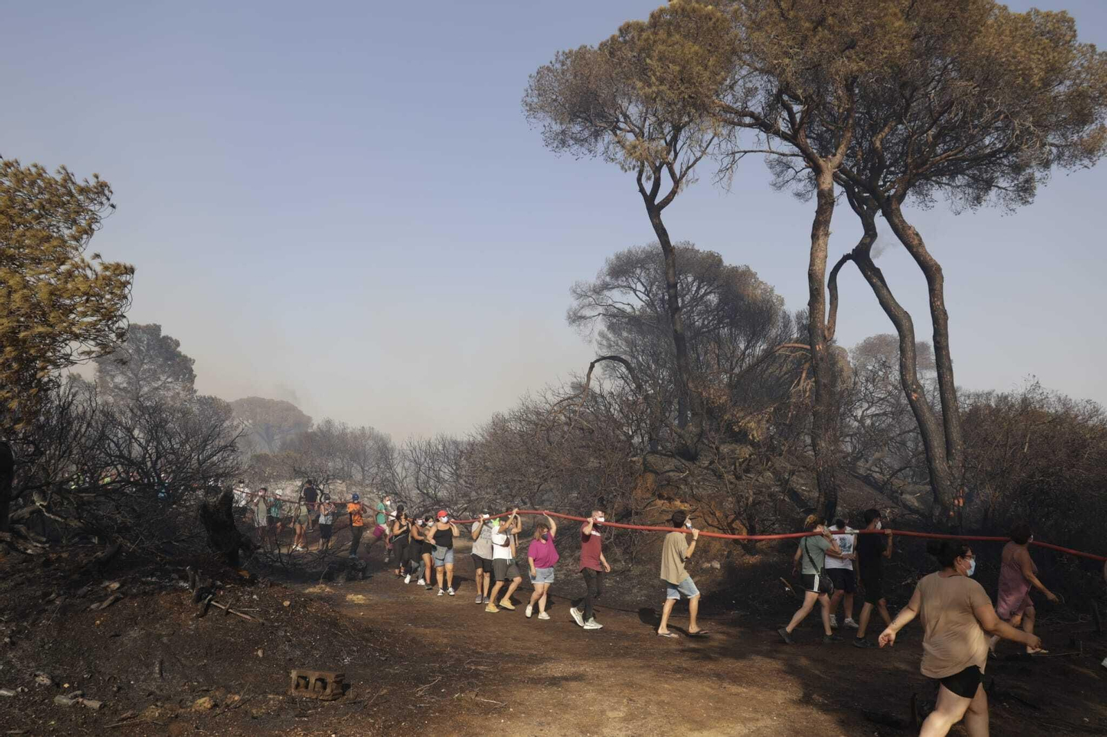 El fuego arrasa Las Canteras en Puerto Real