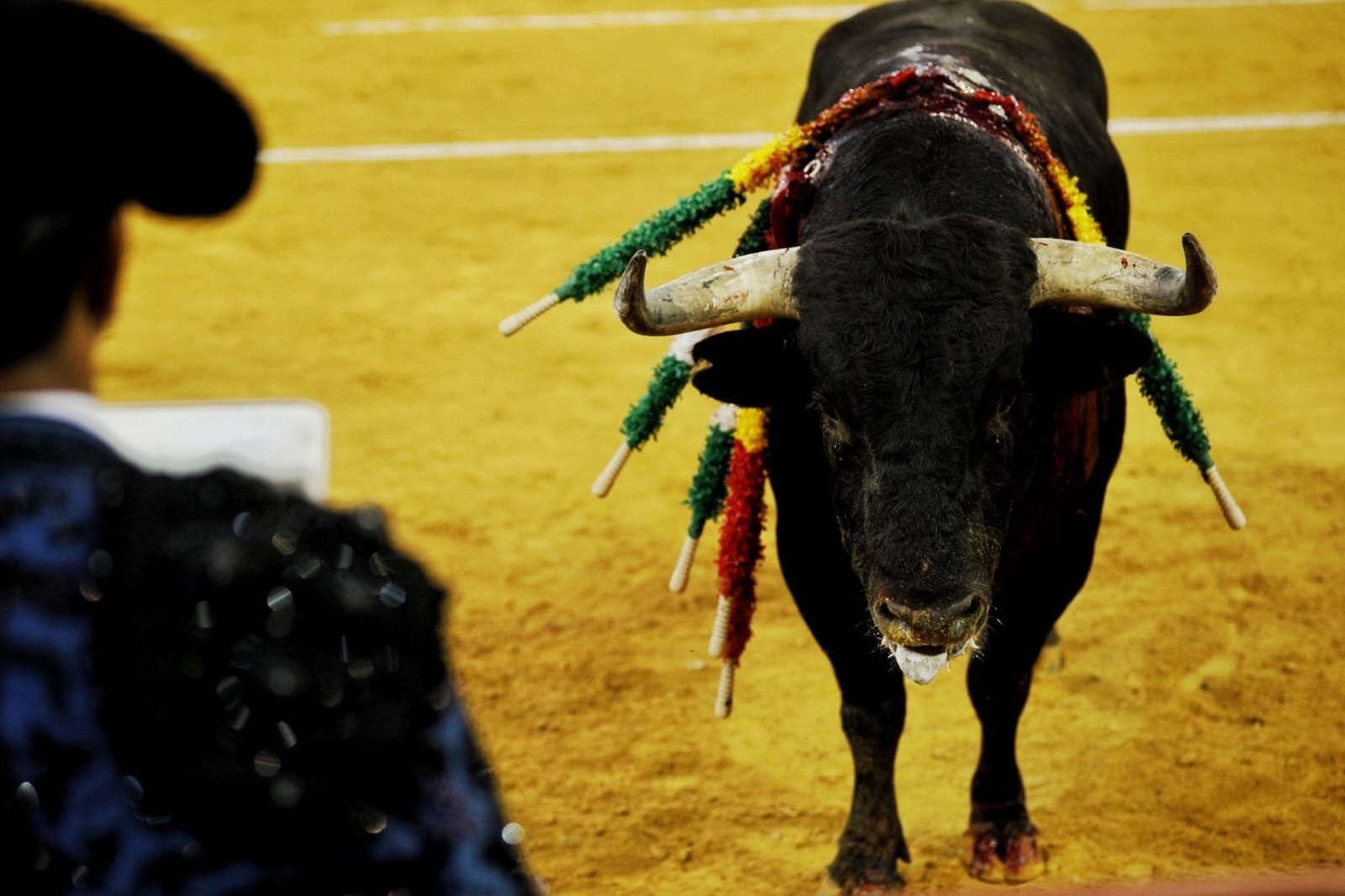 Imágenes de la despedida de Enrique Ponce en la plaza de toros de El Puerto
