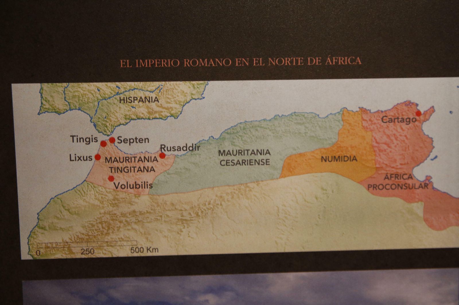 La visita de la reina Letizia, en imágenes