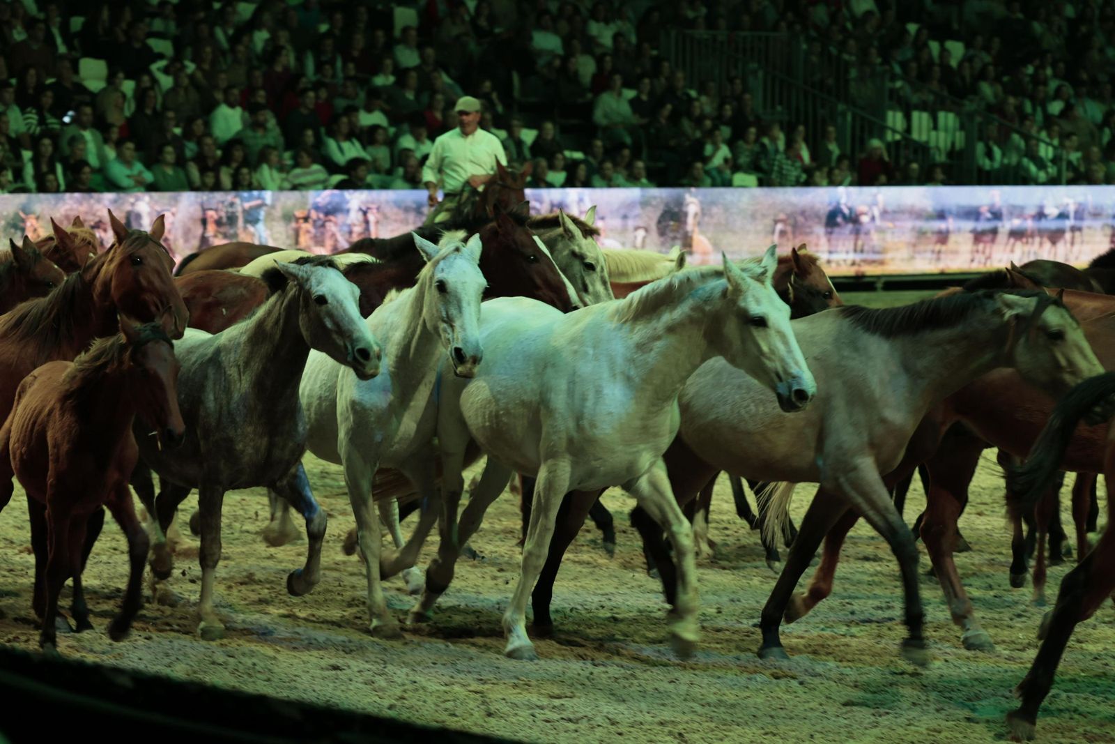 La inauguración de SICAB en imágenes