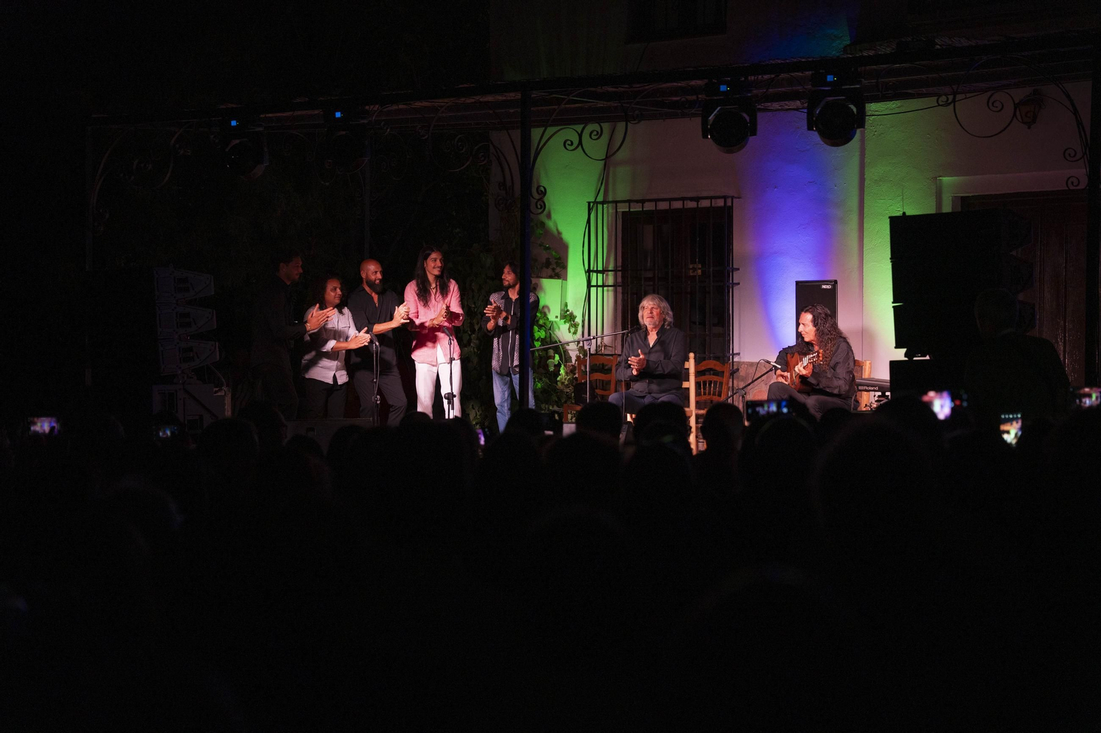 Las mejores imágenes del Festival de Flamenco en Fondón
