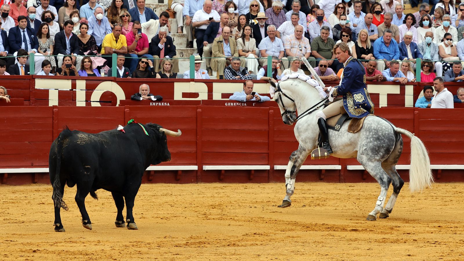 Toros en Jerez: El arte ecuestre