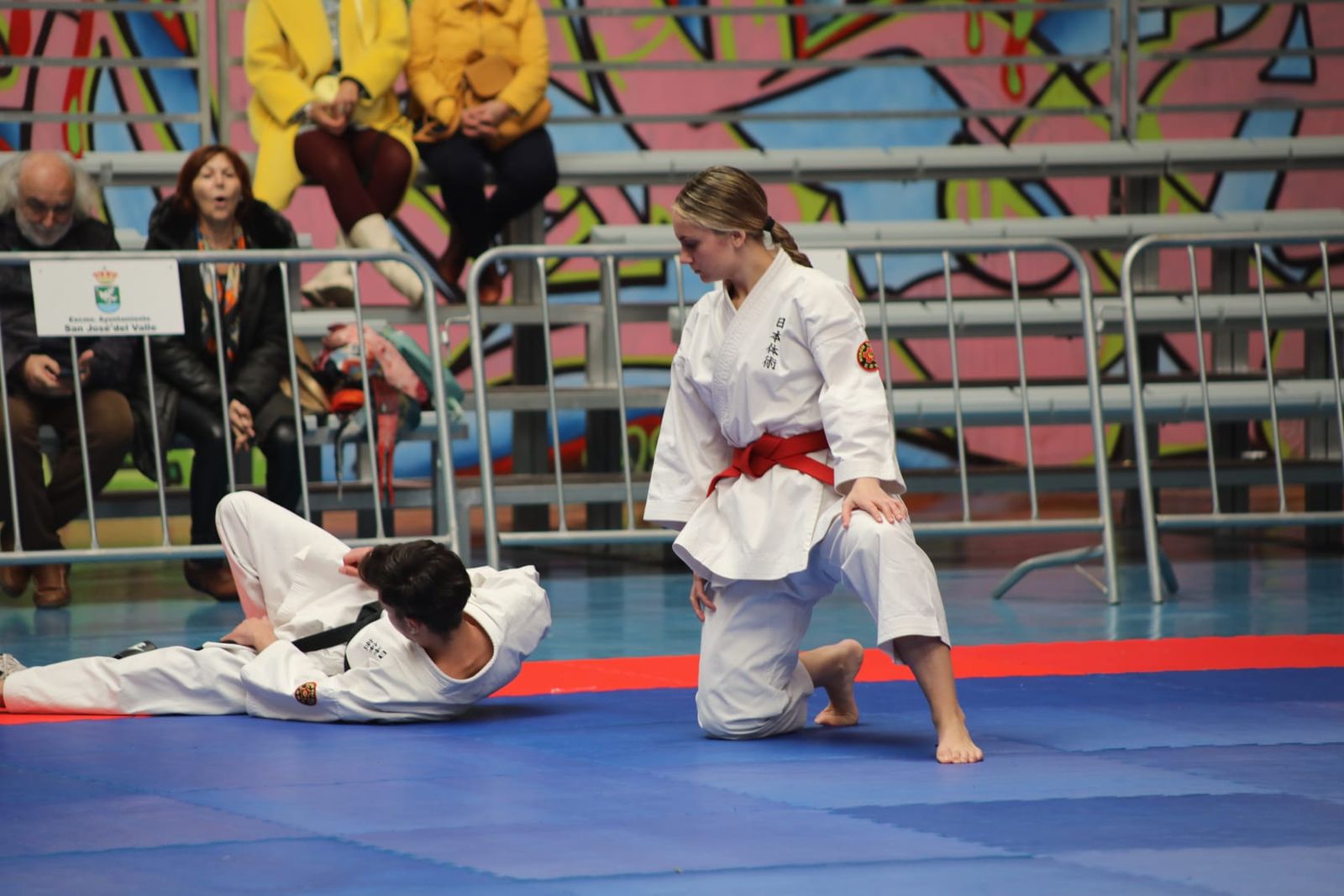 Los mejores momentos de la Escuela de Nihon Tai-Jitsu del Club Nazaret en el Andaluz