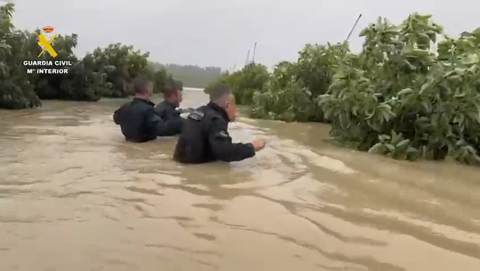 Rescate de una persona en la zona rural de Jerez inundada por la subida del río Guadalete