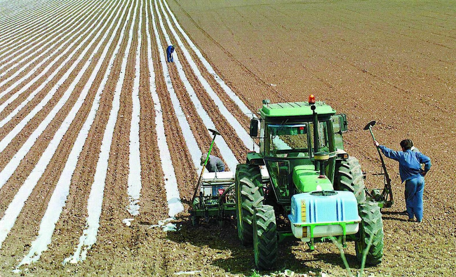 PAC 2020, a la Andalucía rural le va la vida