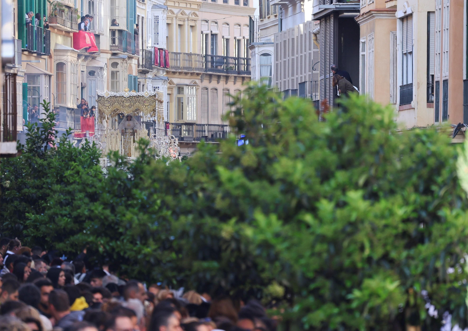 El Rocío en el Martes Santo de Málaga, en fotos