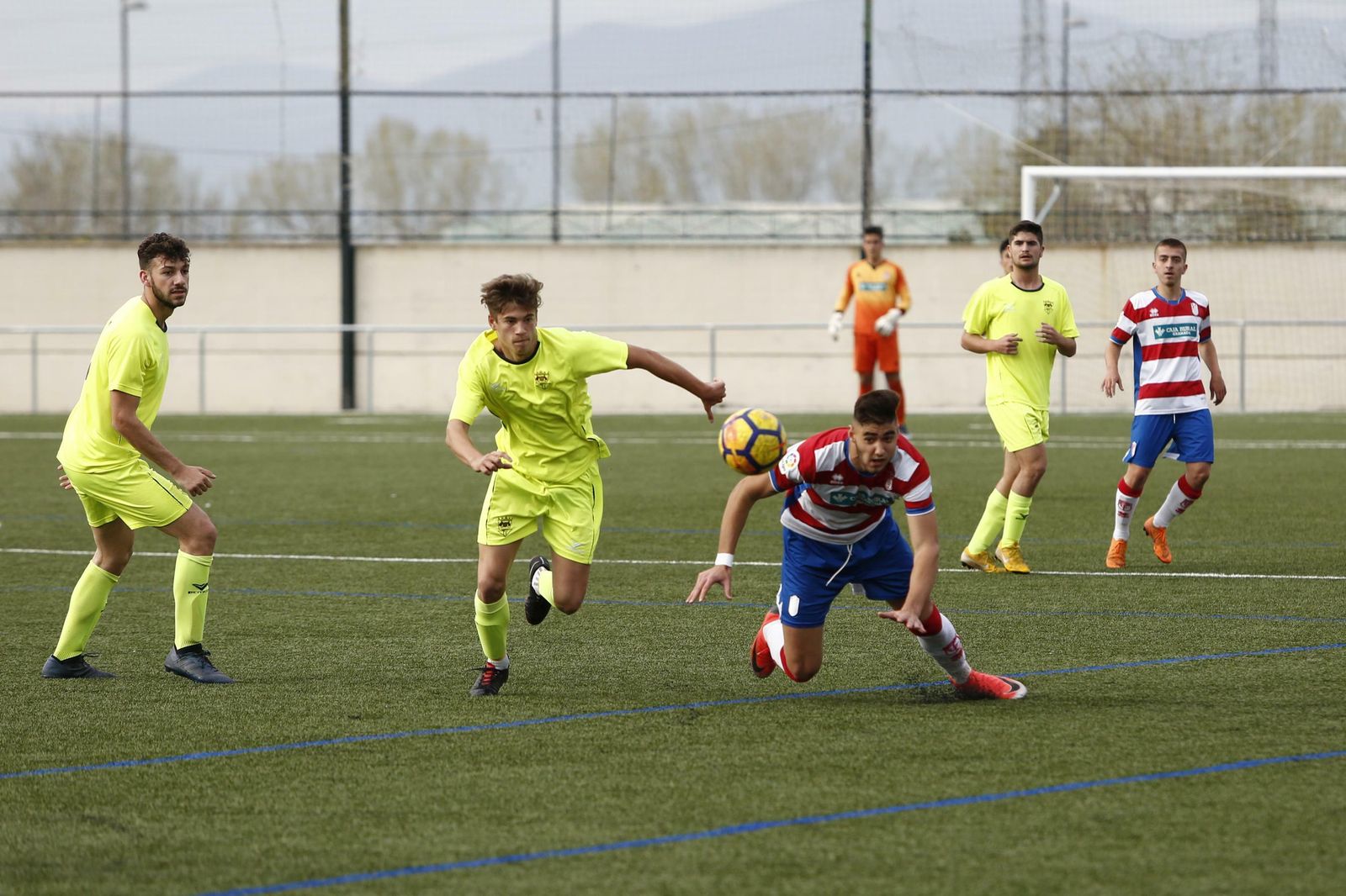 El conjunto de Rubén Torrecilla está cuajando una excelente temporada.