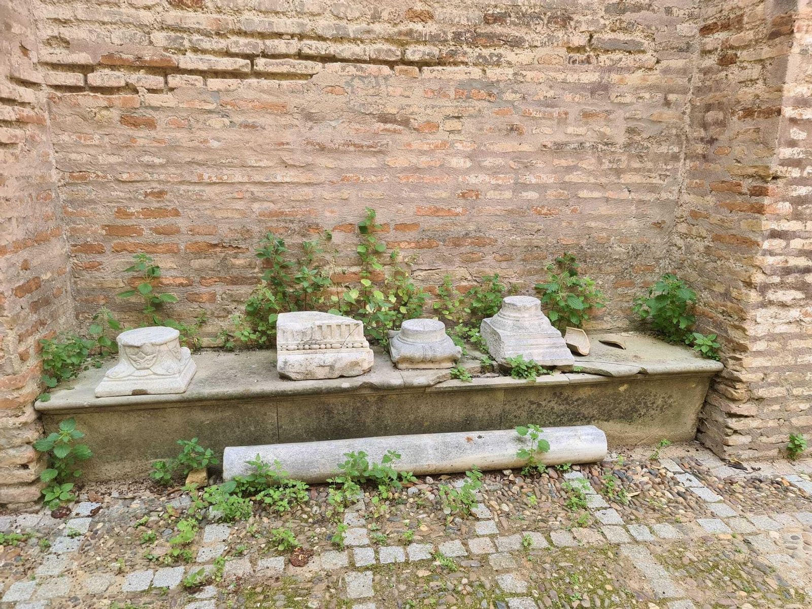 El entorno de la Torre de Don Fadrique.