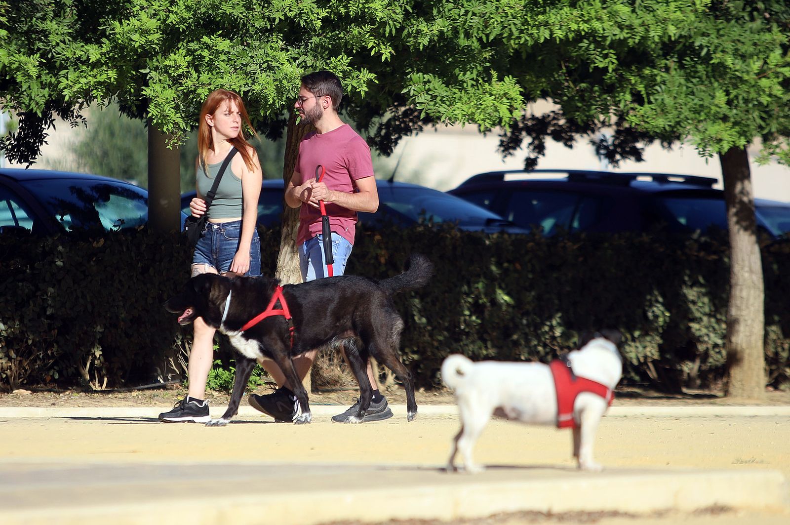 Imágenes del sábado 5 de agosto en Huelva