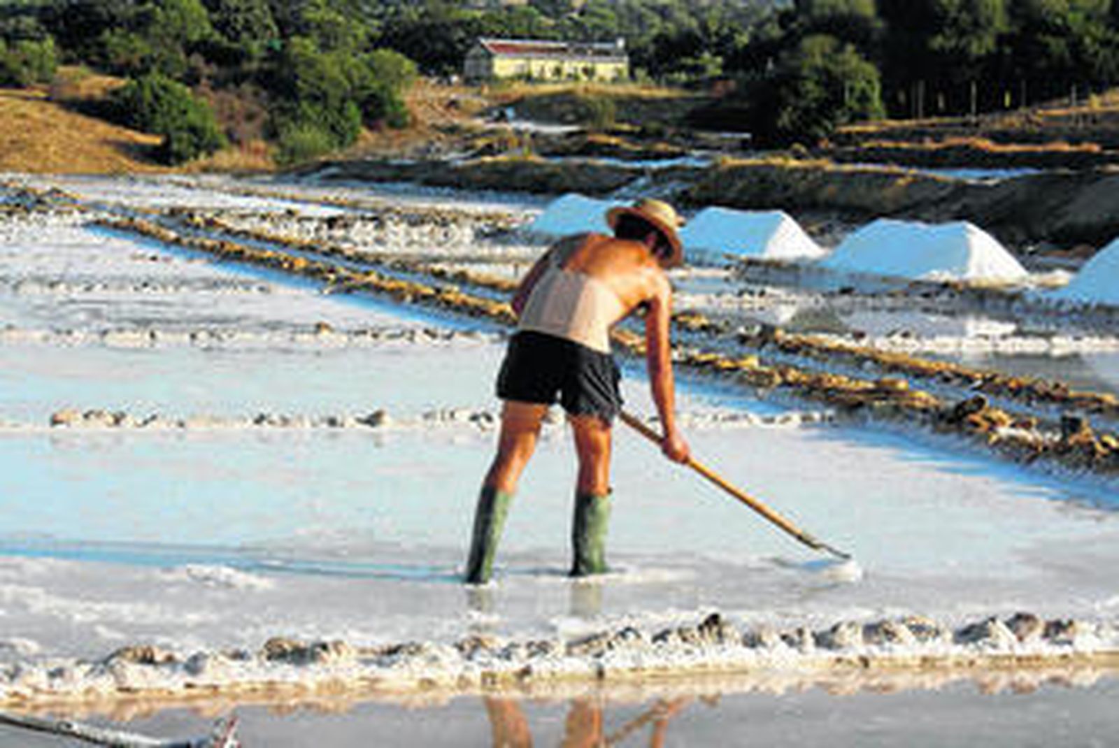 Salinas de interior de Prado del Rey.