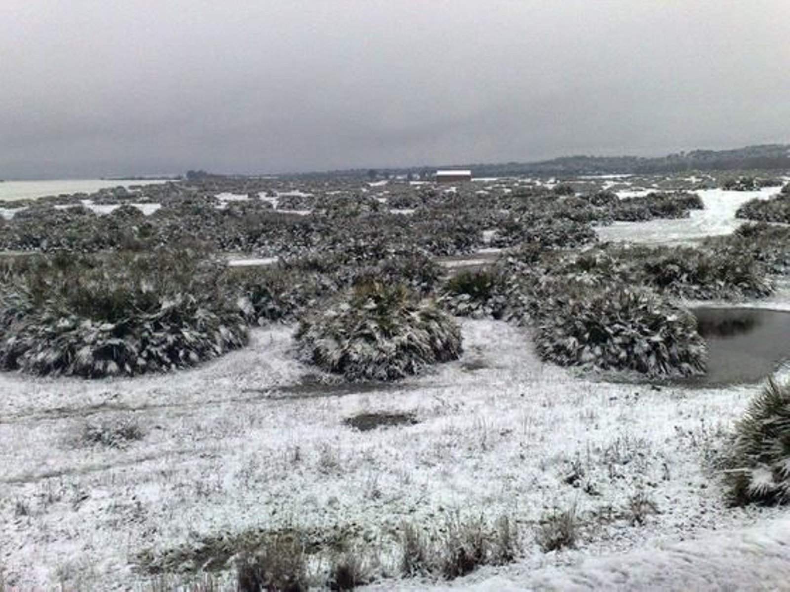 Nieve en Lora del Rio./ Luis Valverde Parrondo