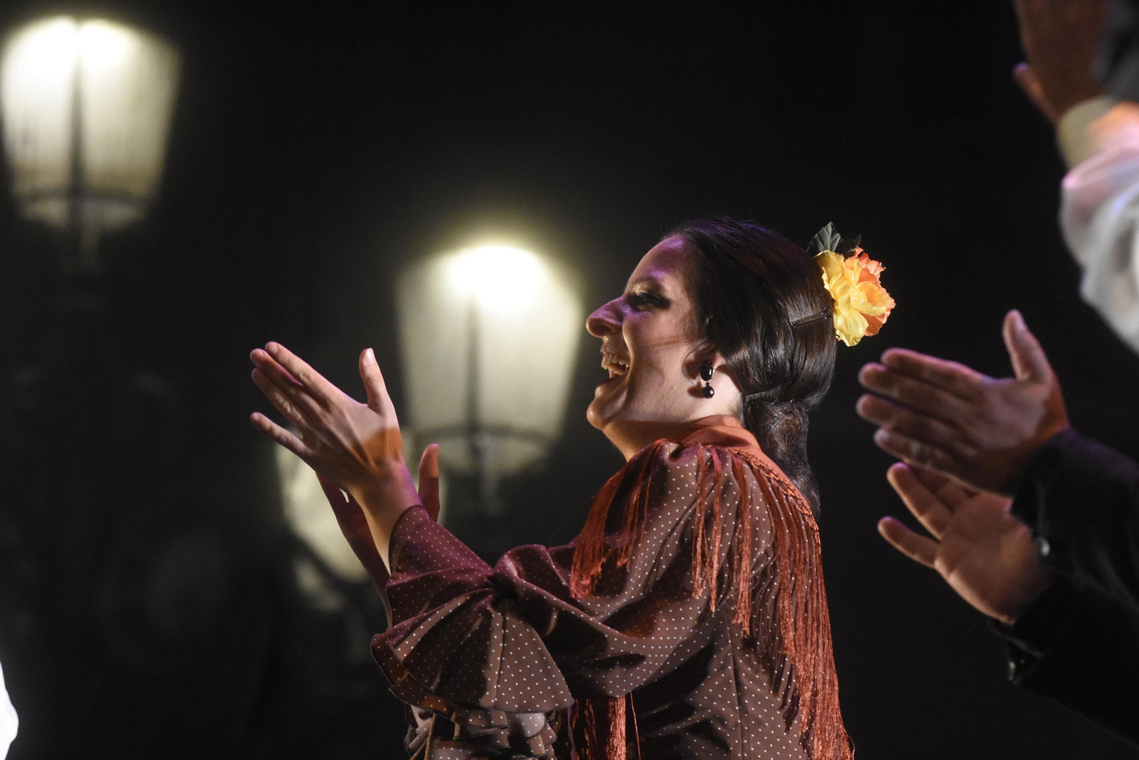 Las imágenes de la Noche Blanca del Flamenco de Córdoba
