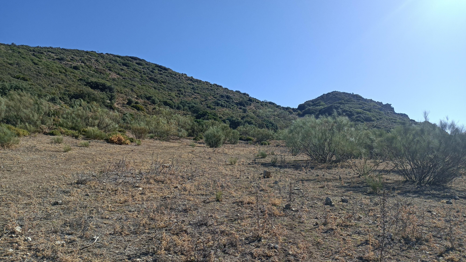 Fotos del ascenso al Pico del Terril