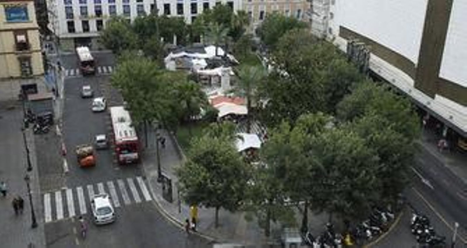 Un injerto 'hippy' que necesita cura