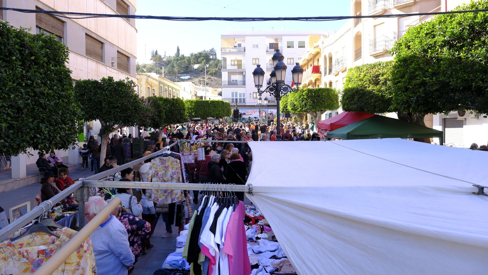 El Día de la Naranja en Gádor, en imágenes