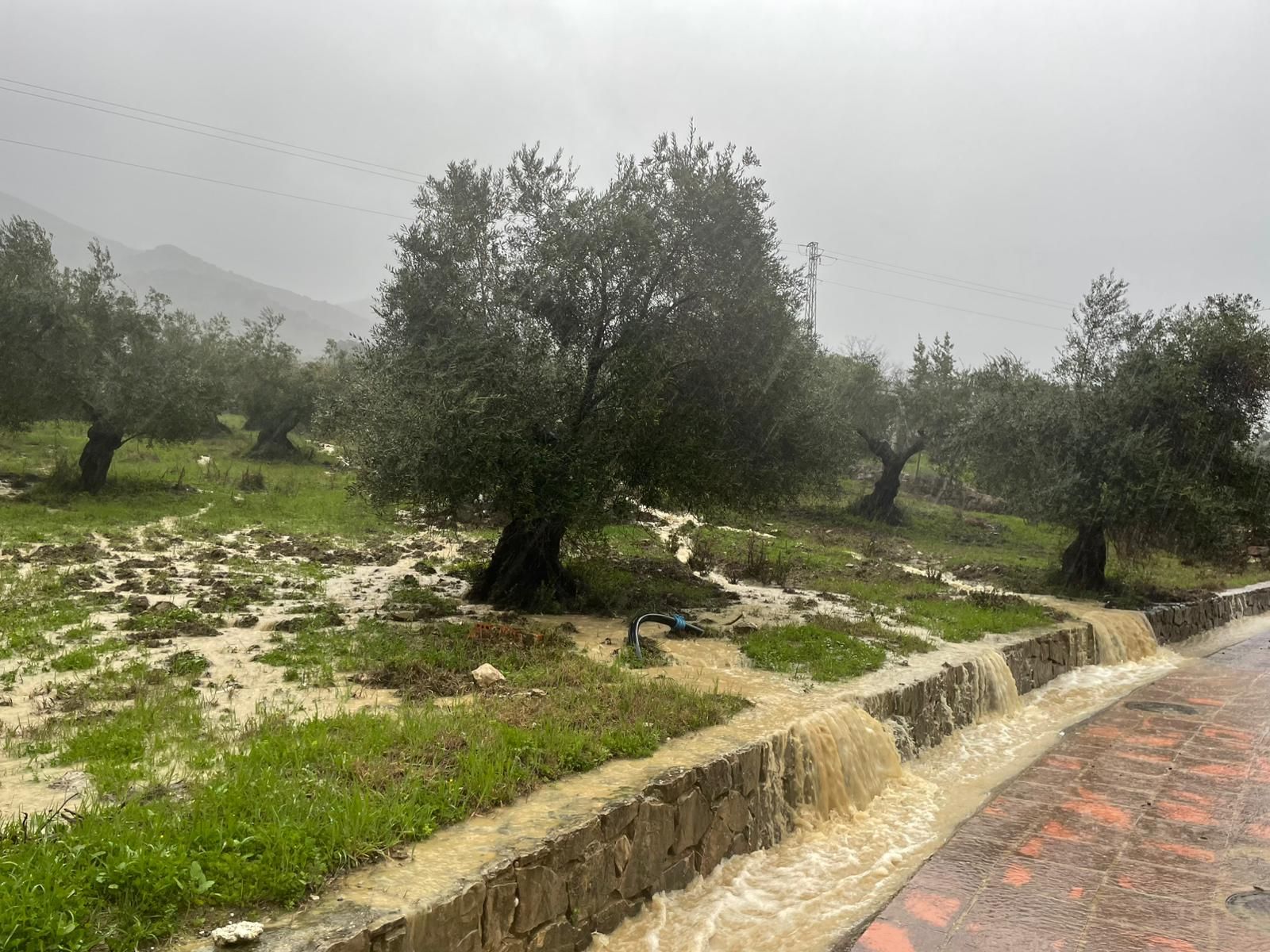 El paso de la borrasca Leonardo por la provincia de Málaga, en imágenes