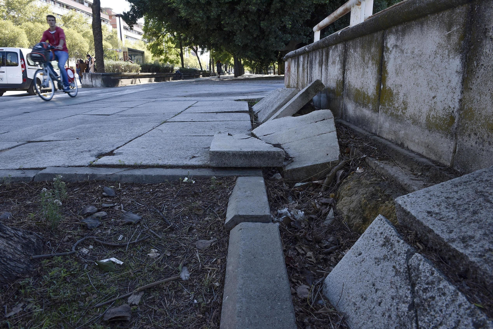 Desperfectos en el entorno del río