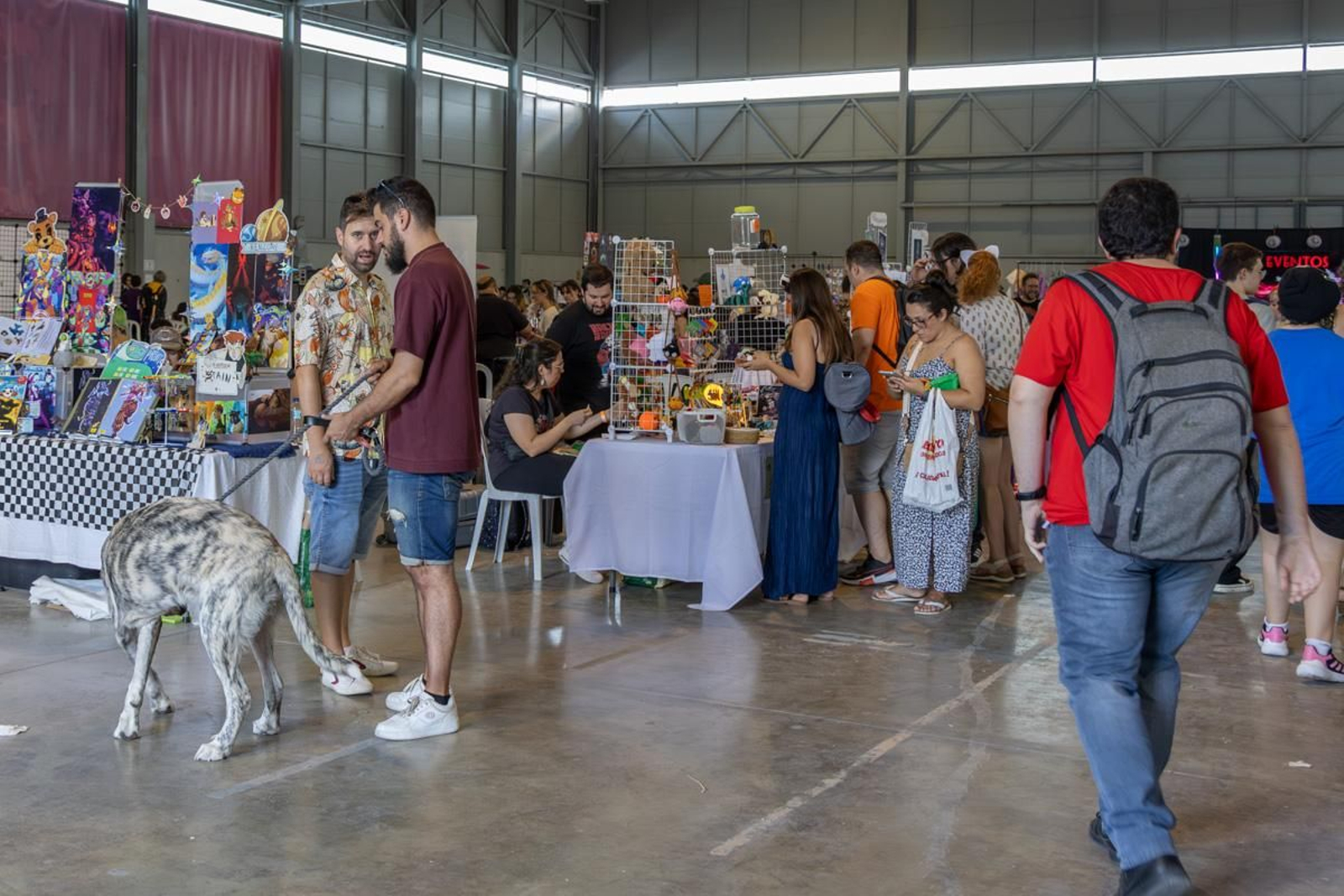 Jaén Go! en imágenes